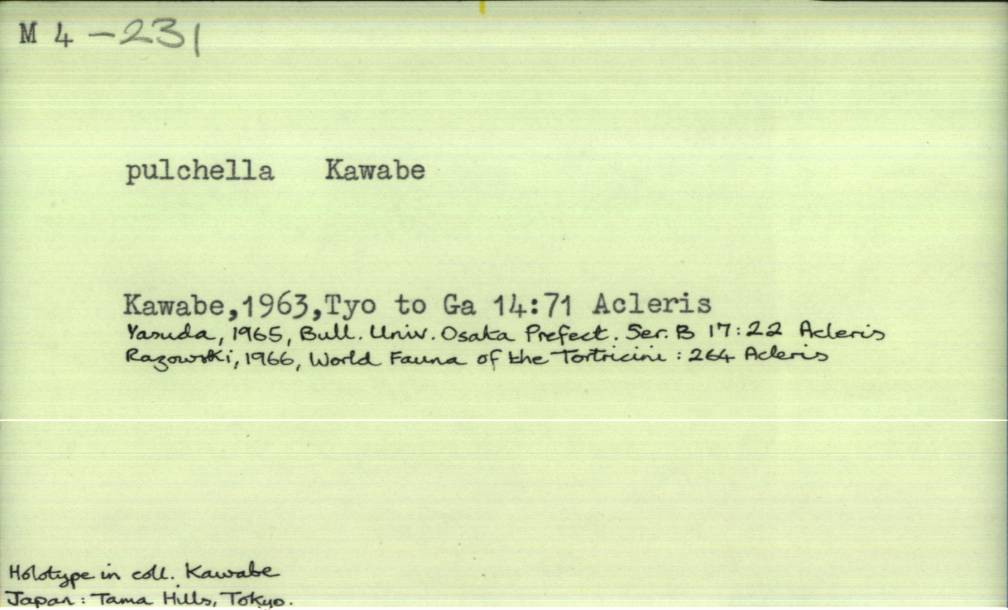 front of card
